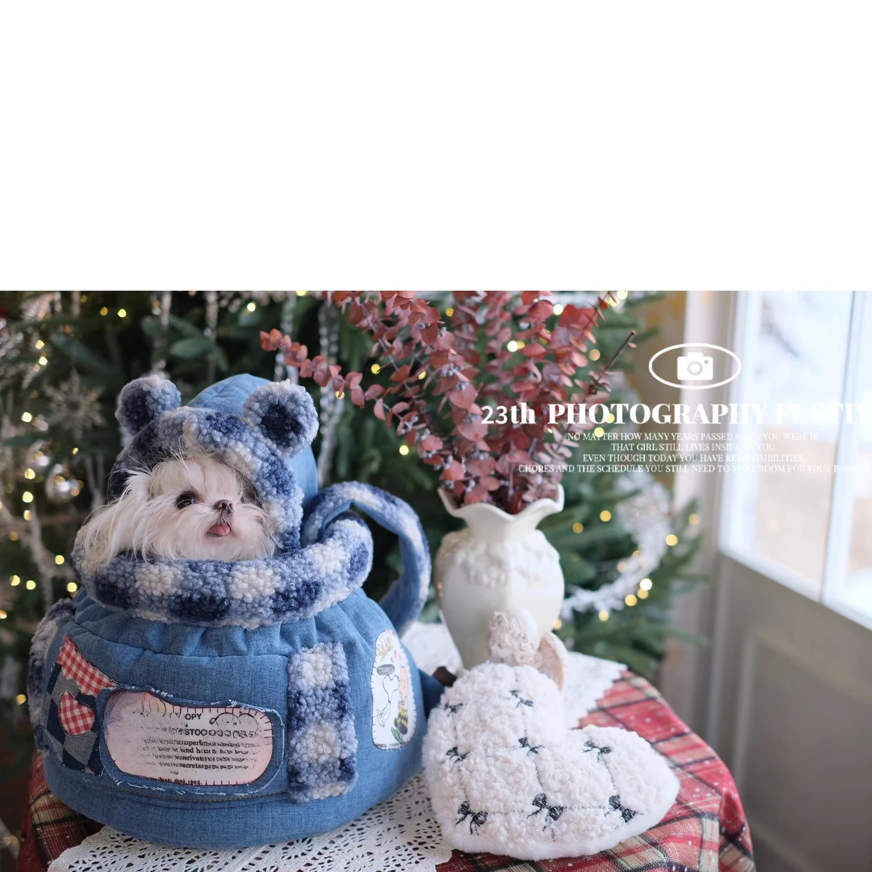 Luxury Bags Edit - 26 Luxury Winter Pet Carrier Dog
