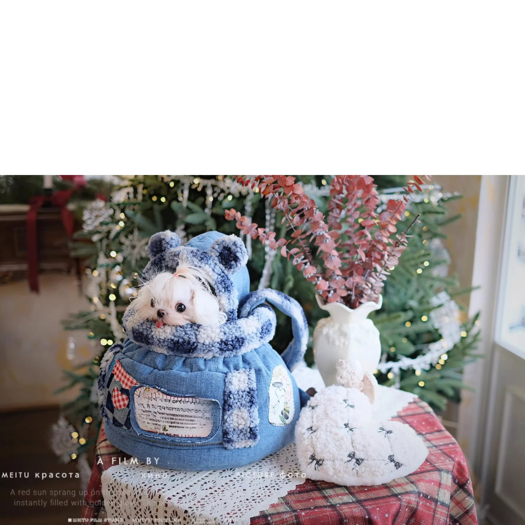 26 Luxury Winter Pet Carrier D - огляд і ціна Luxury Bags Edit