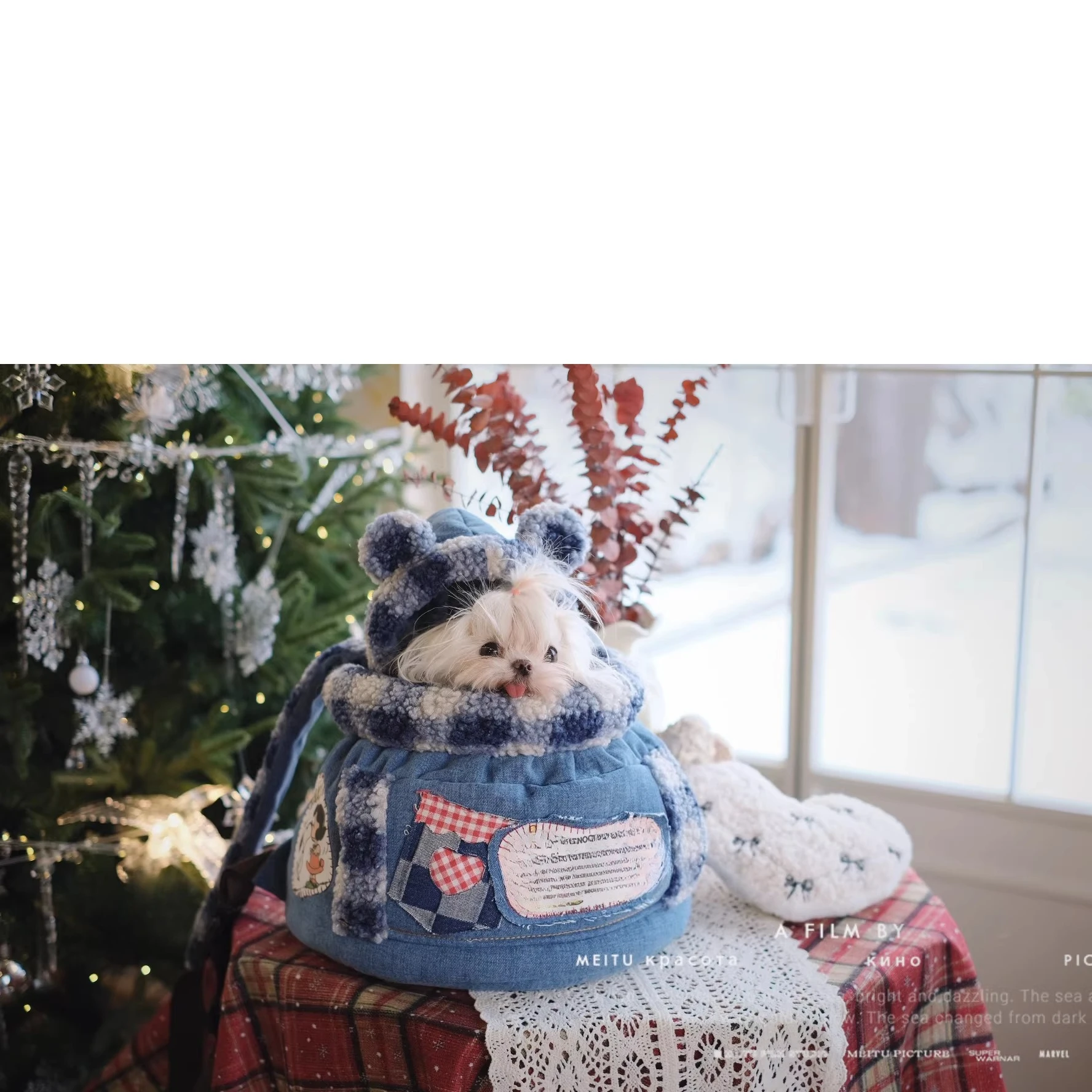 26 Luxury Winter Pet Carrier D - огляд і ціна Luxury Bags Edit